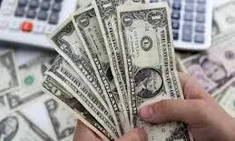 एफआईआई के पास 800 अरब डॉलर के भारतीय शेयर, रिपोर्ट ने बताया- लगातार हो रही बिकवाली का बाजार पर असर?