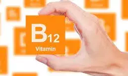 शरीर में विटामिन बी12 की कमी, डायट में आज से शामिल करें ये वेज फूड आइटम शरीर में विटामिन बी12 की कमी, डायट में आज से शामिल करें ये वेज फूड आइटम