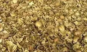 डेढ़ क्विंटल डोडा चूरा बरामद,एक तस्कर को गिरफ्तार