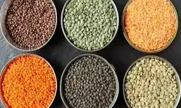 रोजाना एक कटोरी मिक्स्ड दाल खाने से क्या होगा? एक्सपर्ट ने बताया रोजाना एक कटोरी मिक्स्ड दाल खाने से क्या होगा? एक्सपर्ट ने बताया