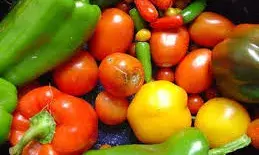 प्रोसेस्ड करके भी फल और सब्जियों को कम नुकसान, DRDO की ये टेक्नोलॉजी है बेस्ट