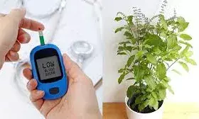 डायबिटीज के मरीजों के लिए वरदान है ये घरेलु जड़ी-बूटियां, शुगर को कंट्रोल करने में काफी कारगर