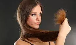 दो मुंह वाले बालों से हैं परेशान? ये हेयर ऑयल आपकी प्रॉब्लम करेंगे दूर दो मुंह वाले बालों से हैं परेशान? ये हेयर ऑयल आपकी प्रॉब्लम करेंगे दूर