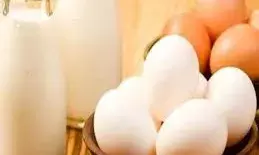 देसी या सफेद अंडा, सेहत के लिए दोनों में से कौन सा ज्यादा फायदेमंद?