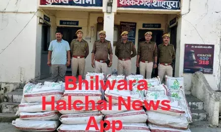 कपास की ओट में अफीम की अवैध खेती, 17 हजार 600 पौधे जब्त, खेत मालिक नहीं लगा हाथ