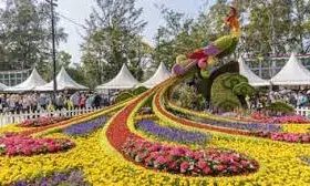 नोएडा में यहां लगेगा फ्लावर शो, जानें तारीख और दूसरी सारी डिटेल्स