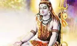 महाशिवरात्रि पर इन चीजों को भूलकर भी न चढ़ाएं,वरना बढ़ सकती हैं आपकी मुश्किलें महाशिवरात्रि पर इन चीजों को भूलकर भी न चढ़ाएं,वरना बढ़ सकती हैं आपकी मुश्किलें