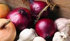 क्या होता है जब आप प्याज के साथ खा लेते हैं लहसुन? जवाब जानकार घूम जाएगा दिमाग क्या होता है जब आप प्याज के साथ खा लेते हैं लहसुन? जवाब जानकार घूम जाएगा दिमाग