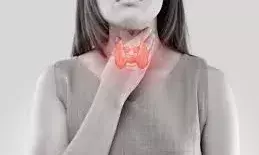 थायरॉइड के चलते रहती है थकान और कमजोरी, खाना शुरू कर दें ये 5 सुपरफूड थायरॉइड के चलते रहती है थकान और कमजोरी, खाना शुरू कर दें ये 5 सुपरफूड