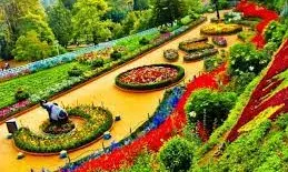 दिल्ली-एनसीआर के 4 फ्लॉवर शो, जहां फ्री में मिल रही एंट्री, फैमिली संग करें एंजॉय दिल्ली-एनसीआर के 4 फ्लॉवर शो, जहां फ्री में मिल रही एंट्री, फैमिली संग करें एंजॉय