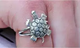 गलत तरीके से पहनी गई कछुए की अंगूठी बन सकती है दुर्भाग्य का कारण, जानिए पहनने के सही नियम