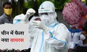 चीन में सामने आया एक नया कोरोनावायरस, कोविड-19 की ही तरह इंसानों के लिए हो सकता है खतरनाक चीन में सामने आया एक नया कोरोनावायरस, कोविड-19 की ही तरह इंसानों के लिए हो सकता है खतरनाक