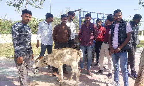 पशु चिकित्सालय में डॉक्टर की कमी