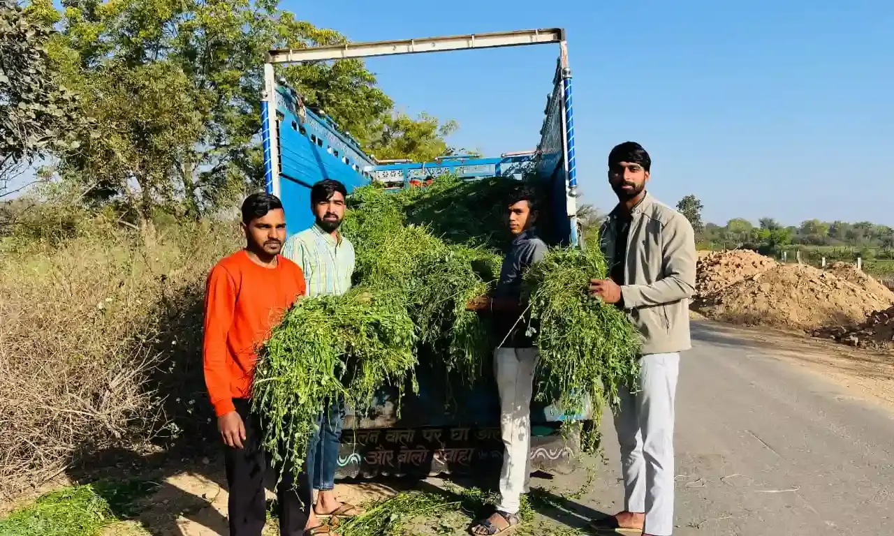 अनाथ गौवंशों को हरा चारा खिलाकर बंधन काटें
