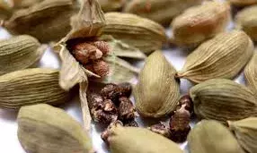 क्या होता है जब आप हर रात सोने से पहले चबाते हैं 2 इलायची, जानें चौंकाने वाले फायदे