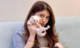 कैट लवर्स की ये 10 खूबियां बनाती हैं उन्हें खास, क्या आप भी हैं इनमें शामिल?