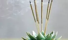 क्या आप भी घर पर सुबह-शाम जलाते हैं अगरबत्ती? सेहत को हो सकते हैं ये नुकसान