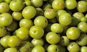 क्या आप जानते हैं आंवला के ये चमत्कारी फायदे? यहां जानें