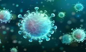 एचकेयू-5-CoV-2 वायरस कोविड से कितना अलग, क्या ये भी इंसानों में तेजी से फैल सकता है?