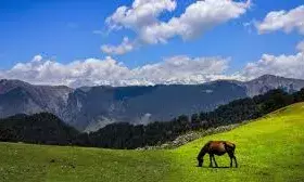 कर्नाटक की इस खूबसूरत जगह पर मार्च में पार्टनर के साथ घूमने जाने का बनाएं प्लान