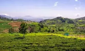 मार्च के महीने में एक्सप्लोर करने लायक हैं तमिलनाडु के ये हिल स्टेशंस, प्लान करें ट्रिप