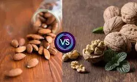 अखरोट या बादाम…दिमाग को तेज करने के लिए कौन है ज्यादा फायदेमंद? एक्सपर्ट से जानें