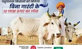 दो से दस गाय तक पालने के लिए मिलेगा 10 लाख का लोन, पशुओं को मिलेगा बीमा लाभ भी दो से दस गाय तक पालने के लिए मिलेगा 10 लाख का लोन, पशुओं को मिलेगा बीमा लाभ भी