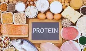 वजन के मुताबिक रोजाना कितना प्रोटीन लेना है जरूरी? एक्सपर्ट से जानें