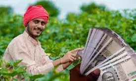 19वीं किस्त जारी हुए बीत चुके हैं 4 दिन, अगर अब तक खाते में नहीं आए पैसे तो करें ये काम
