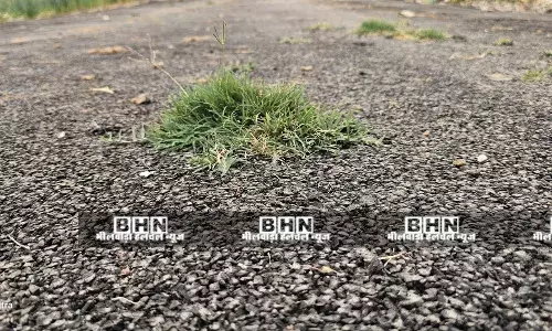 एक करोड़ आठ लाख की लागत से बनी सड़क पर उगी घास, गारंटी पीरियड में हुई बदहाल