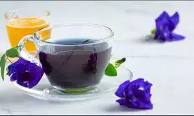 कोलेजन बढ़ाने के लिए काम आएगी इस नीले फूल की चाय, ऐसे करें डाइट में शामिल