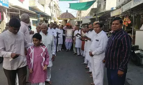 फूलडोल मेले का आगाज निकला एकादशी का थाल फूलडोल मेले का आगाज निकला एकादशी का थाल