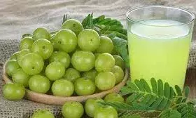 रोजाना आंवला पानी पीने से होंगे हैरान करने वाले फायदे,जानिए कब और कैसे करें सेवन रोजाना आंवला पानी पीने से होंगे हैरान करने वाले फायदे,जानिए कब और कैसे करें सेवन