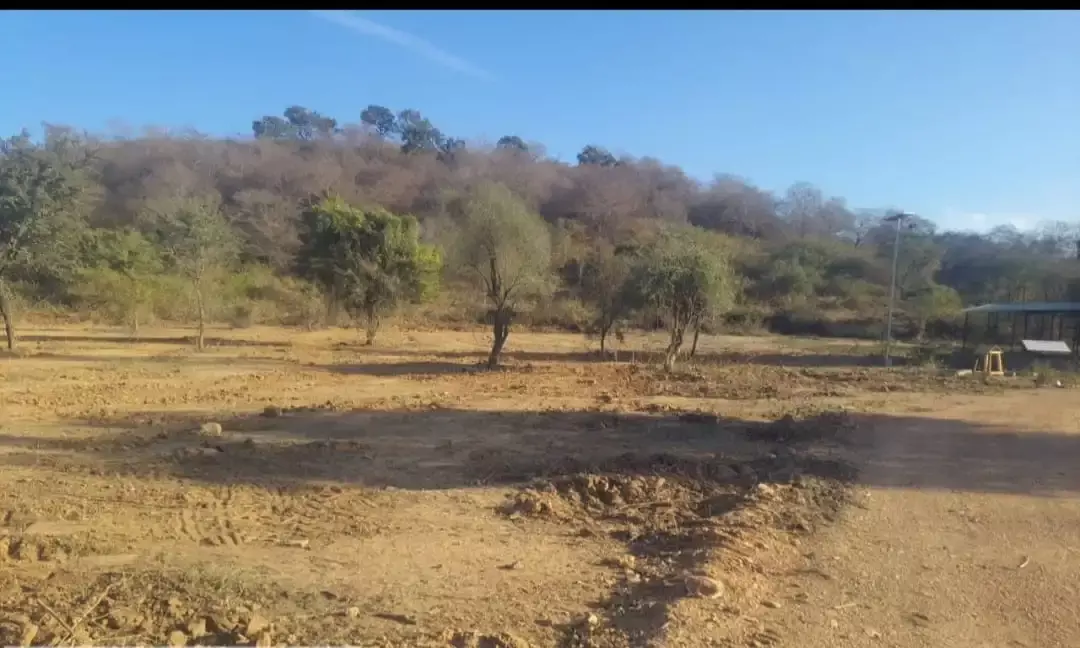 इको पार्क  को लैंठना झाड़ियां से मुक्ति के लिए वन विभाग ने कमर कसी