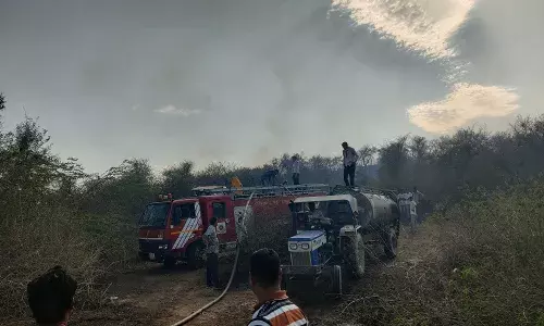 बड़लियास सहित  तीन गांवों के जंगलों में लगी भीषण आग,लोग अपने स्तर पर काबू पाने का कर रहे हे प्रयास
