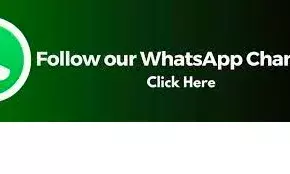 फूलडोल महोत्सव में निकला तीसरा थाल फूलडोल महोत्सव में निकला तीसरा थाल