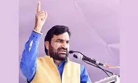 बेनीवाल ने बीजेपी और कांग्रेस को सांपनाथ और नागनाथ बताते हुए कहा  दोनों दल मिलकर  गुमराह कर रहे जनता को