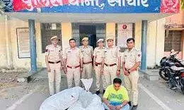 फलदार पौधों की आड़ में अफीम की   अवैध खेती का भंडाफोड़,आरोपी   गिरफ्तार