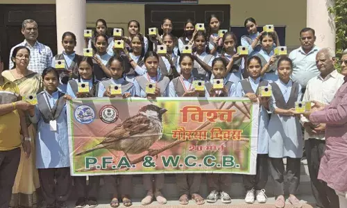 बढ़ते शहरीकरण व फैलते तारों के जाल से गौरैया संकट में – जाजू