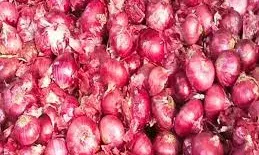 प्याज पर निर्यात शुक्ल हटाने से किसान खुश, आम आदमी दुखी