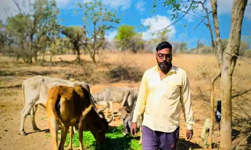 नवरात्री के अवसर पर गायों को रचका, पक्षीयों के लिए परिन्डे, ग्रीष्मकाल में गायों के पीने के पानी की व्यवस्था नवरात्री के अवसर पर गायों को रचका, पक्षीयों के लिए परिन्डे, ग्रीष्मकाल में गायों के पीने के पानी की व्यवस्था