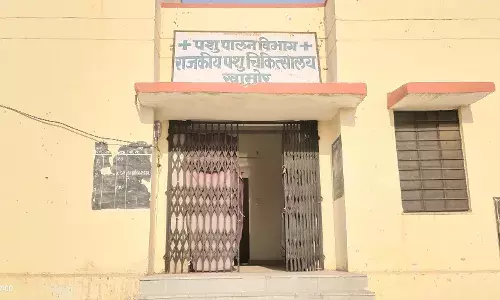 नीलगाय के बछड़े को कुत्तों ने नोचा,ग्रामीण गौसेवको ने कंपाउंडर को फोन किया तो जवाब मिला मीटिंग में शाहपुरा हू