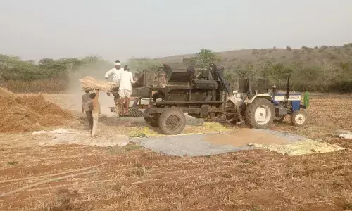 फसल समेटने में जुटे किसान बाजारों में सन्नाटा