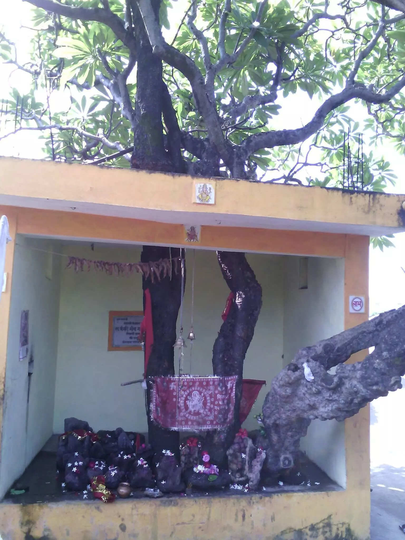तीन सौ साल पुराने चम्पा के पेड़ के नीचे विराजमान है खेडापति मैया तीन सौ साल पुराने चम्पा के पेड़ के नीचे विराजमान है खेडापति मैया