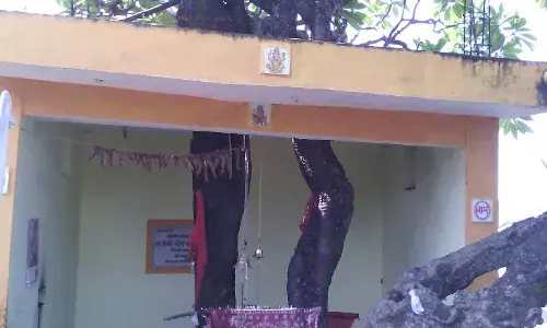 तीन सौ साल पुराने चम्पा के पेड़ के नीचे विराजमान है खेडापति मैया