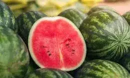 डायबिटीज पेशेंट भूलकर भी न खाएं गर्मी के ये 4 फल, नहीं तो होगा भारी नुकसान डायबिटीज पेशेंट भूलकर भी न खाएं गर्मी के ये 4 फल, नहीं तो होगा भारी नुकसान