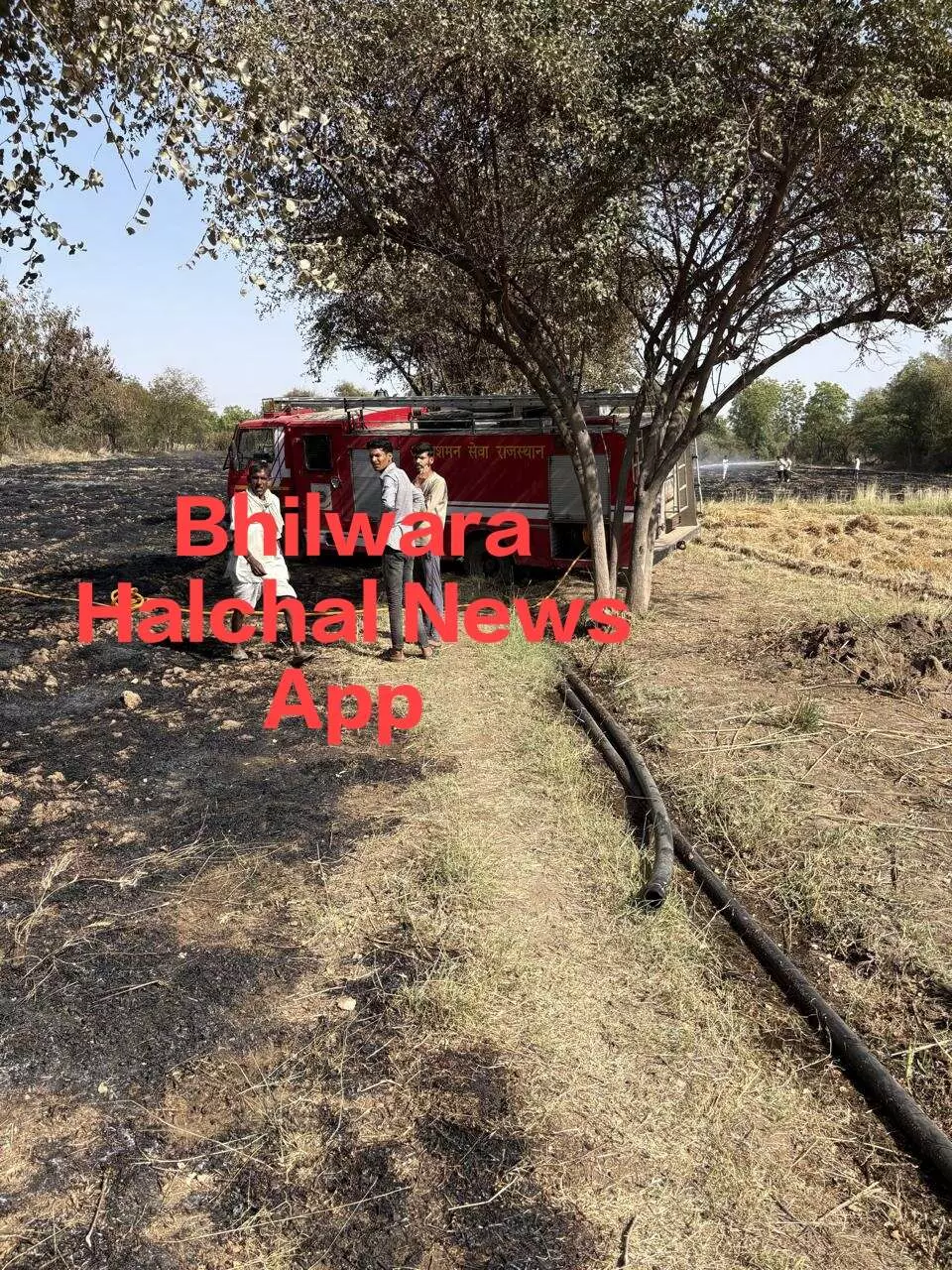5 बीघा गेहूं, केलुपोश छपरा, खेत की बाड़ खाक, तीन भैंसें झुलसी 5 बीघा गेहूं, केलुपोश छपरा, खेत की बाड़ खाक, तीन भैंसें झुलसी