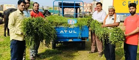 ज्योति बा फुले जयंती के उपलक्ष में गौ सेवा ज्योति बा फुले जयंती के उपलक्ष में गौ सेवा