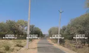 सड़क पर लगे बिजली के खंभे बन रहे परेशानी का कारण