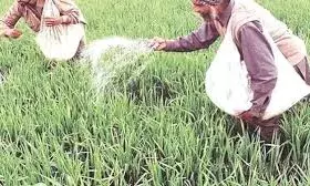 चित्तौड़गढ़ में यूरिया के गैर-कृषि उपयोग की रोकथाम को लेकर निरीक्षण अभियान चित्तौड़गढ़ में यूरिया के गैर-कृषि उपयोग की रोकथाम को लेकर निरीक्षण अभियान